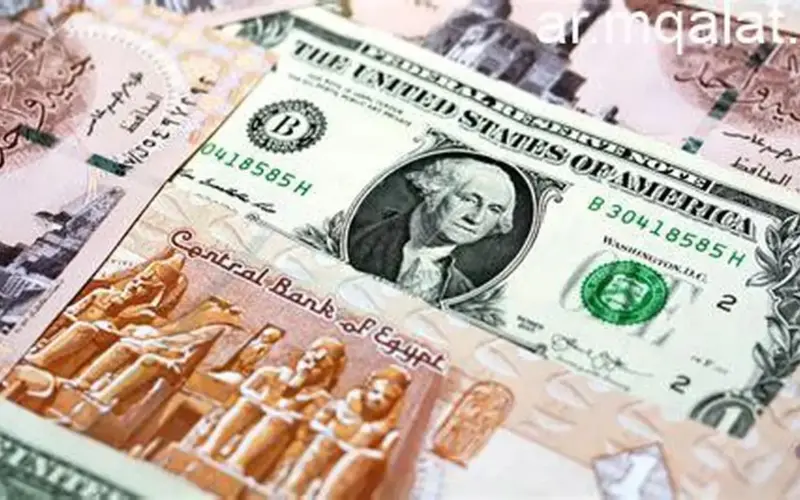 سعر الدولار اليوم في مصر السبت.. ثبات أمام الجنيه – مقالات نيوز